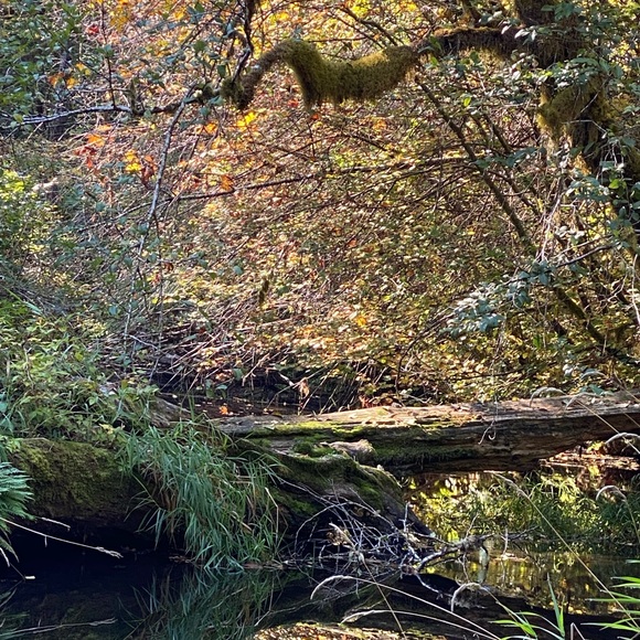 crystals with a crystal healer Unlisted Inventory - Picture 5 of 16